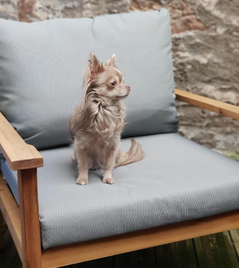 Superbe Chambre Chez L'Habitant Saint-Die-des-Vosges Exteriör bild